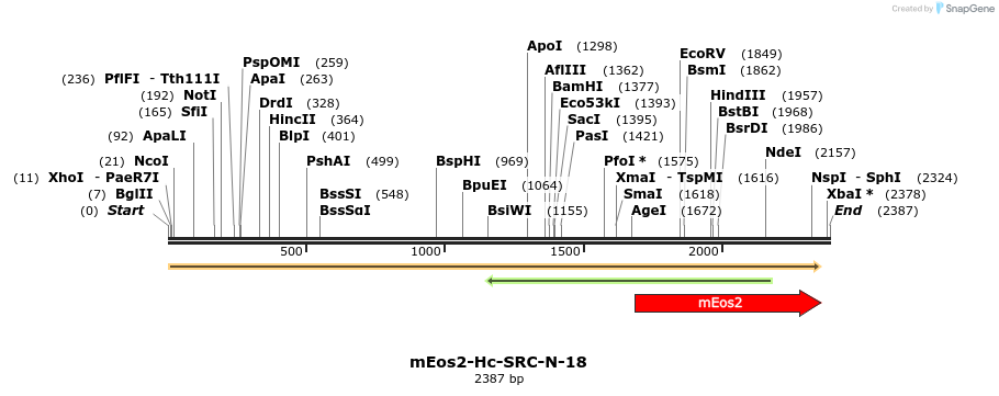 88519_map