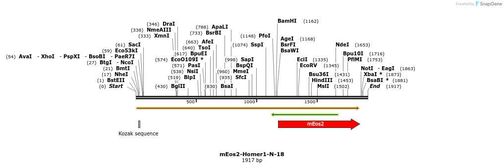 88521_map