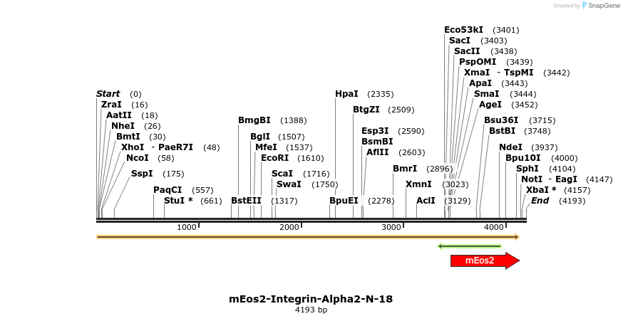 88522_map