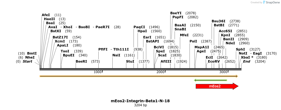 88523_map