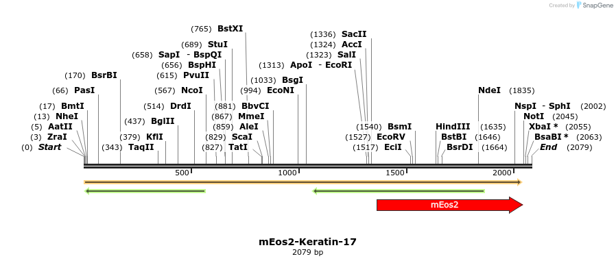 88525_map