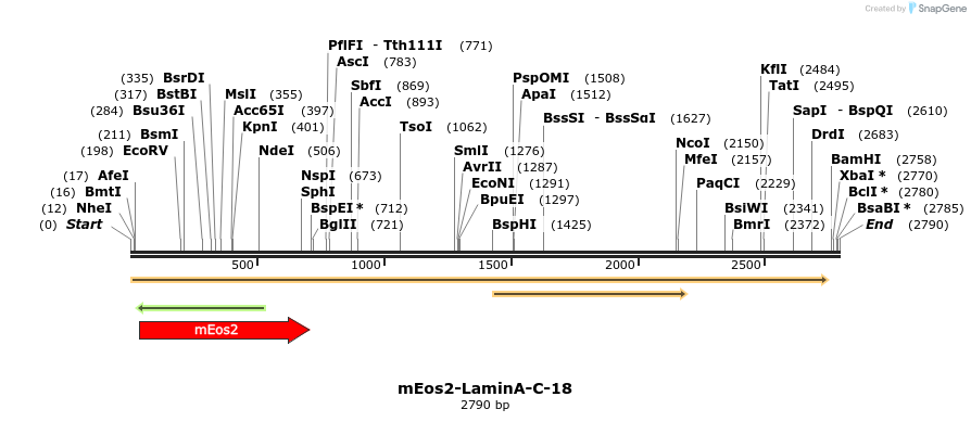 88527_map