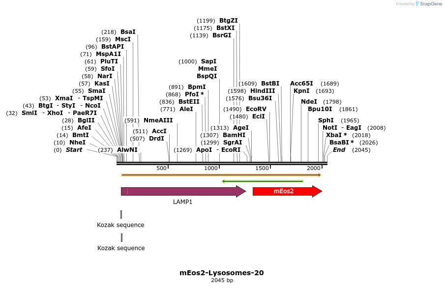 88530_map