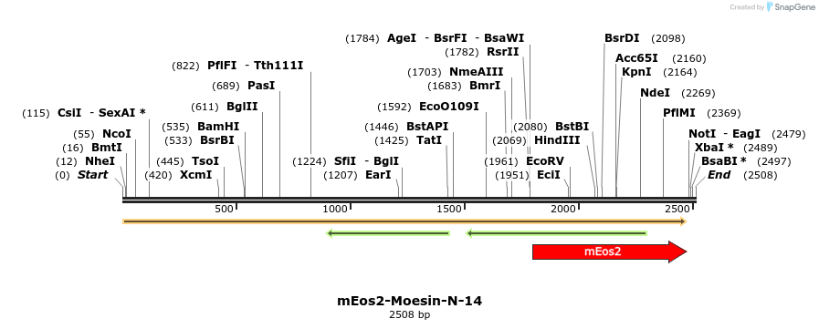 88535_map