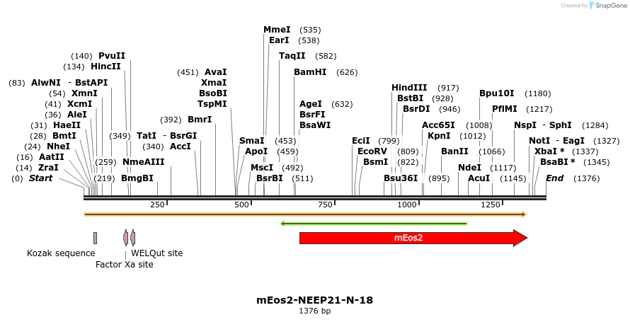 88540_map