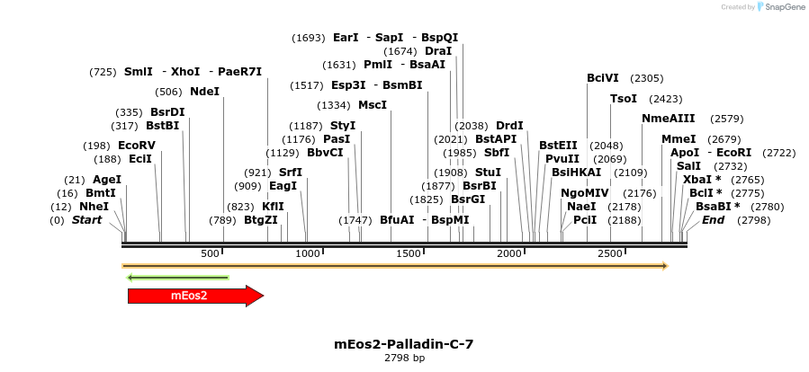 88541_map