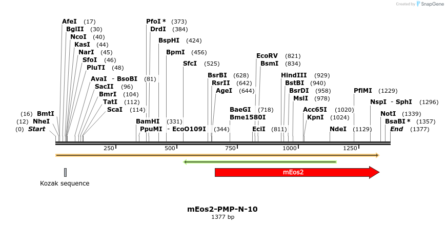 88543_map