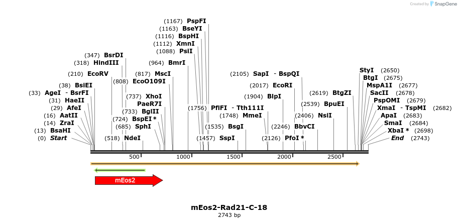 88549_map