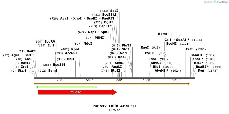 88555_map