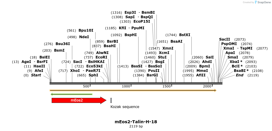 88556_map