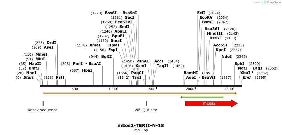 88559_map