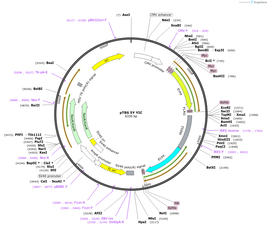 8856_map