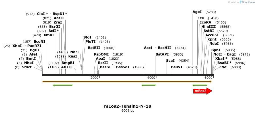 88561_map