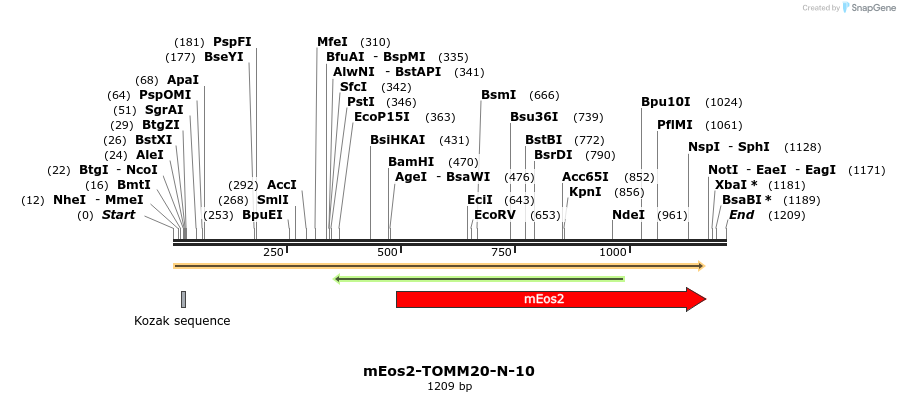 88563_map