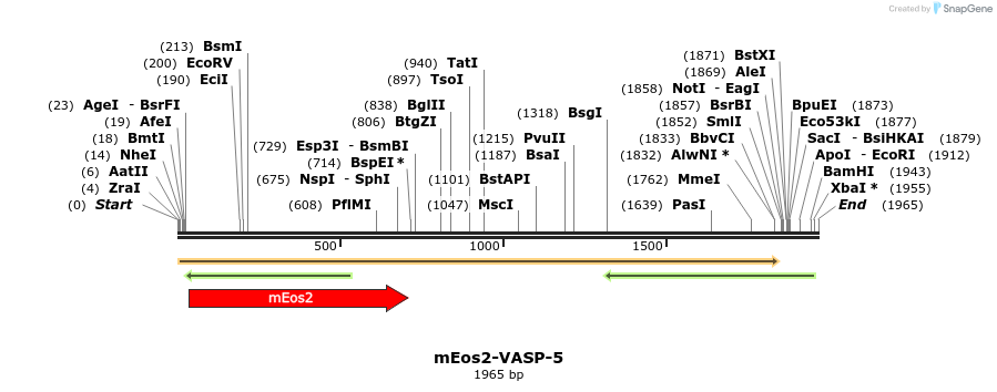 88567_map