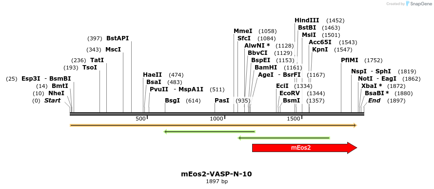 88568_map