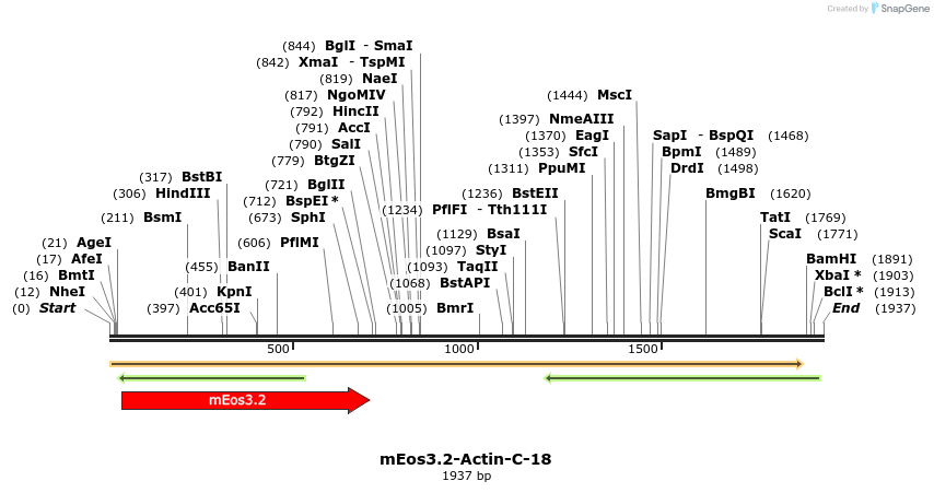 88577_map