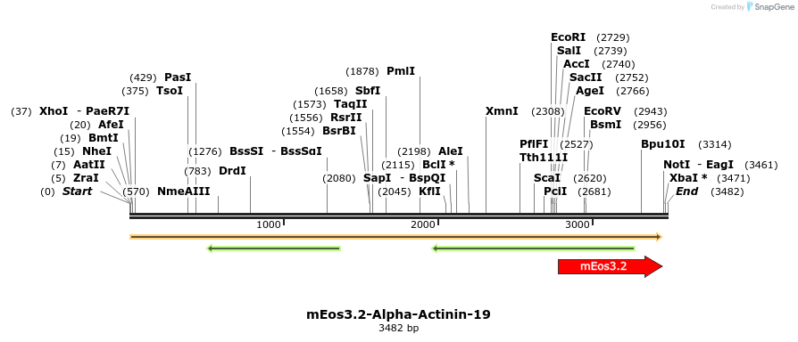 88578_map
