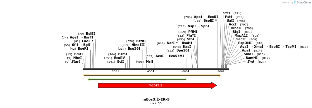 88588_map