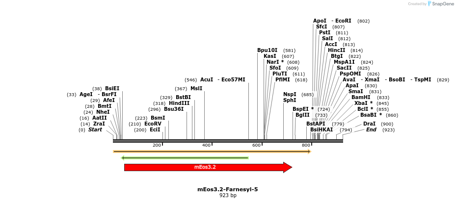 88589_map