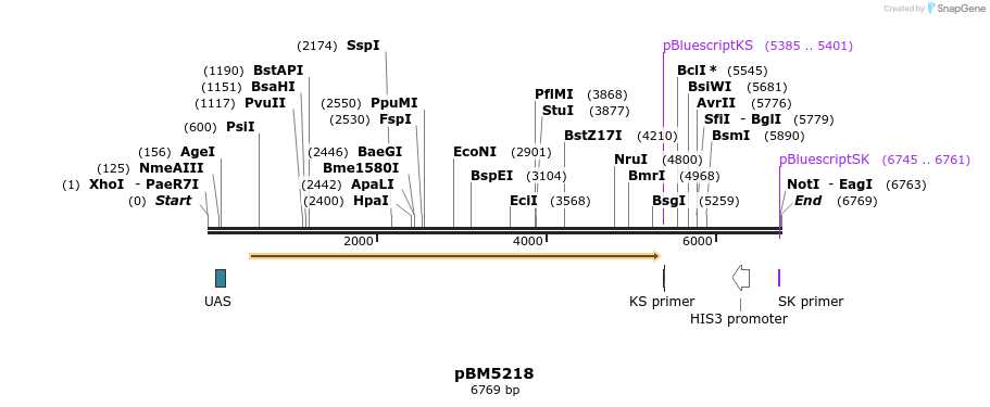 8859_map