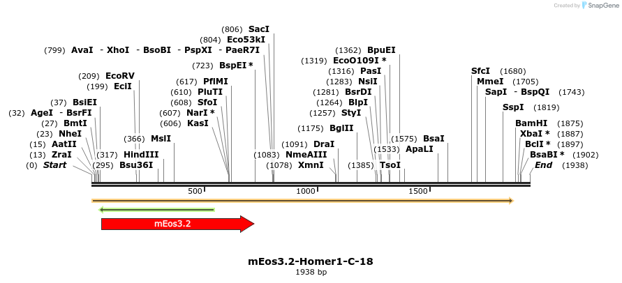 88593_map