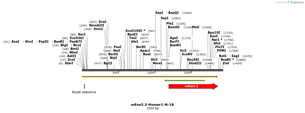 88594_map