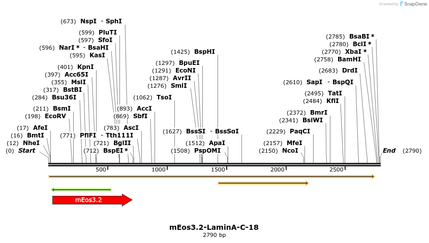 88596_map