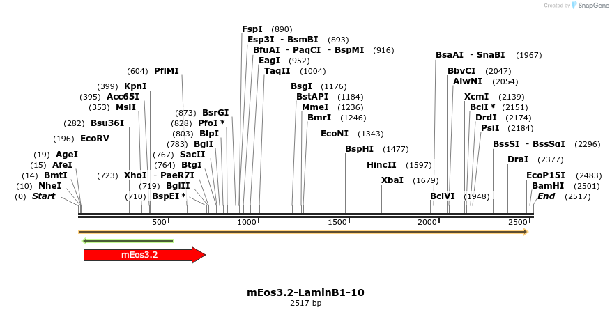 88597_map