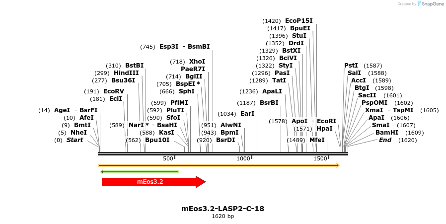 88598_map