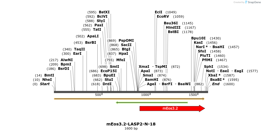 88599_map