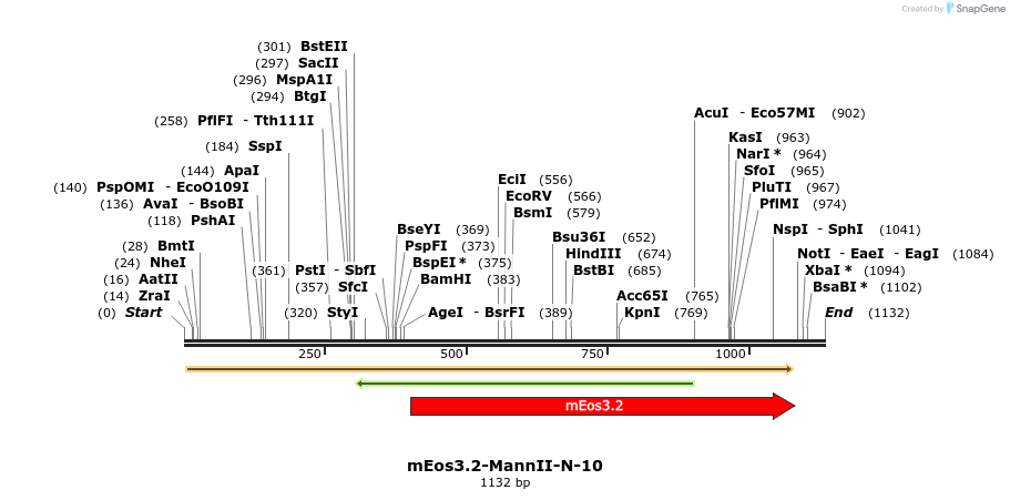 88600_map