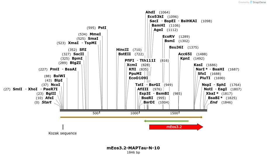 88601_map