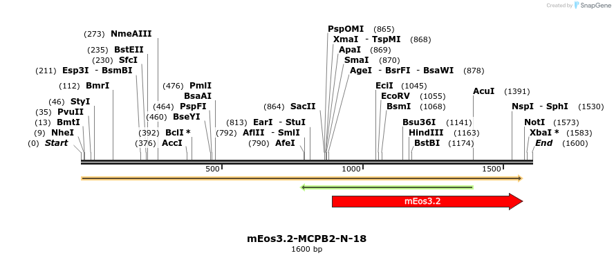 88607_map
