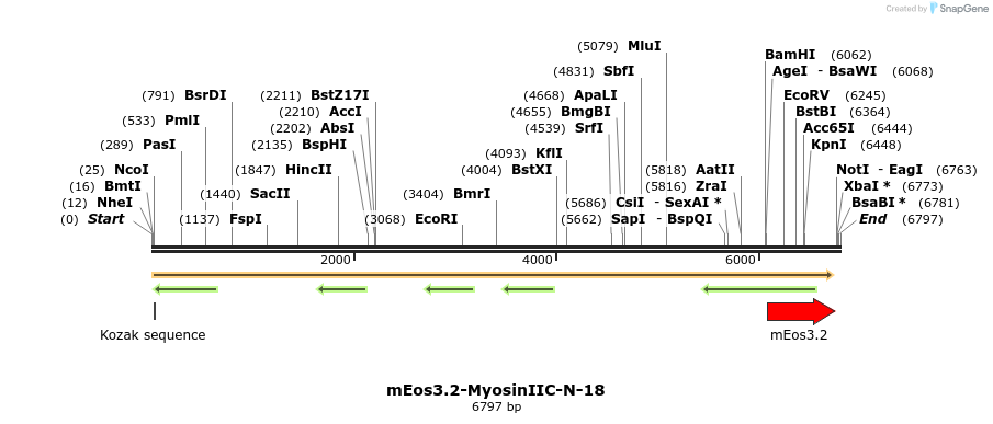 88609_map