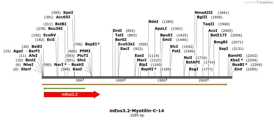 88610_map