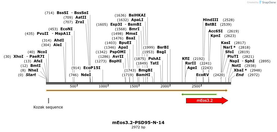 88613_map