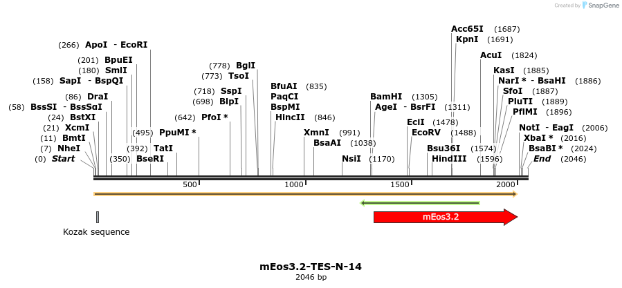 88615_map