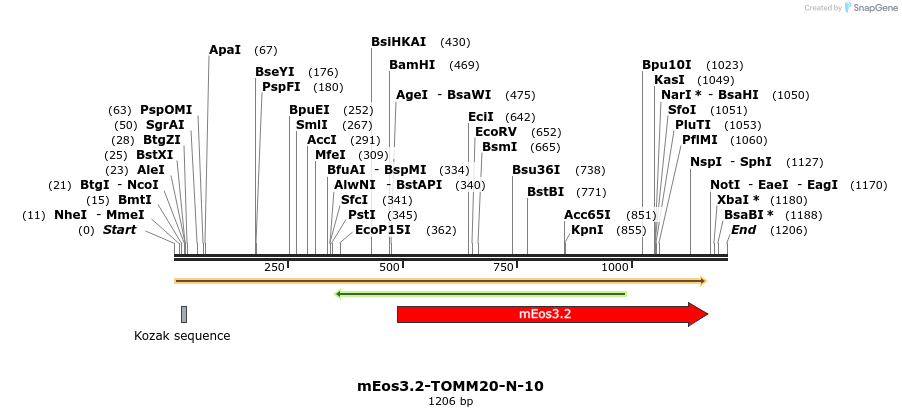 88616_map
