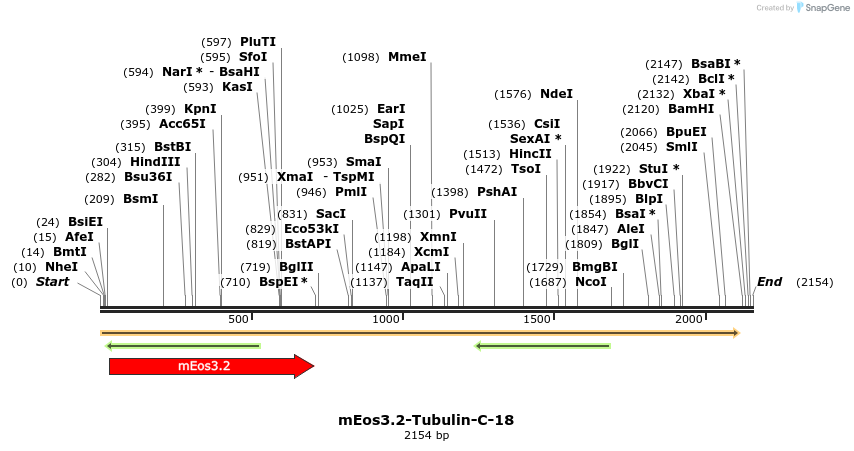 88617_map