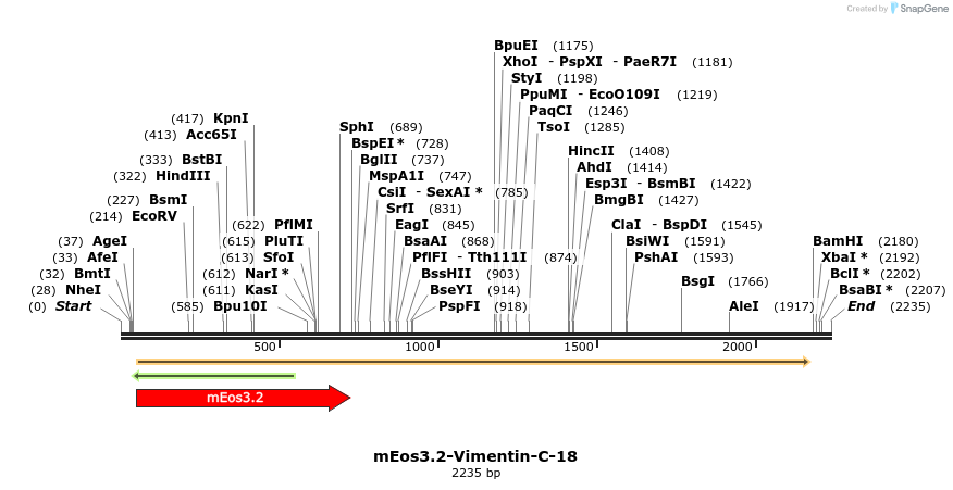 88619_map