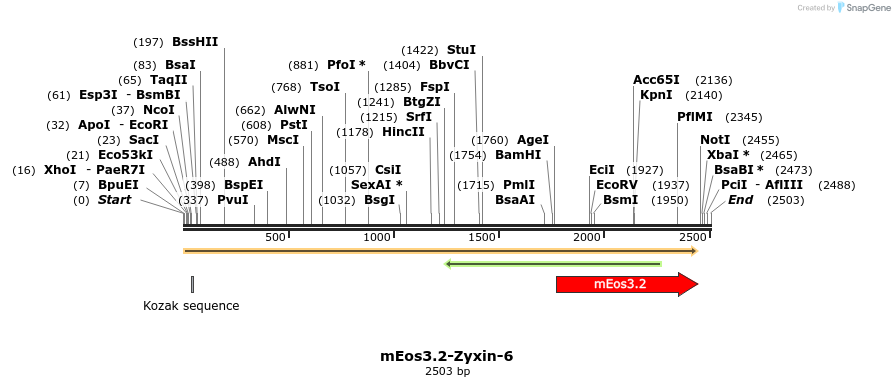 88620_map