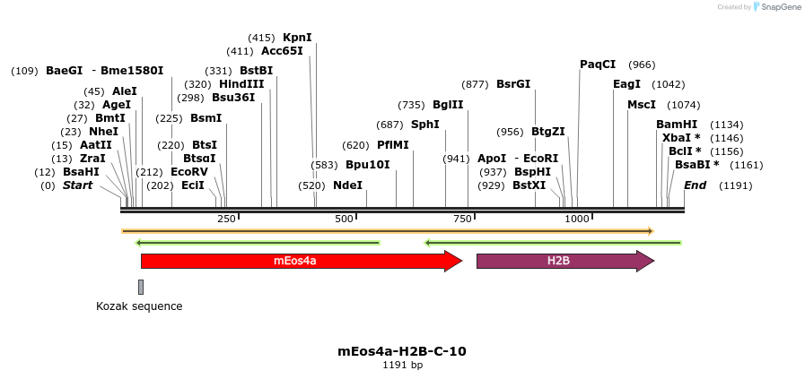88631_map