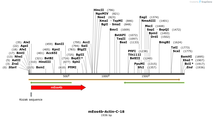 88639_map