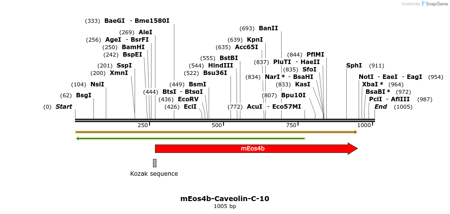 88643_map