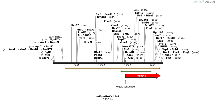88644_map