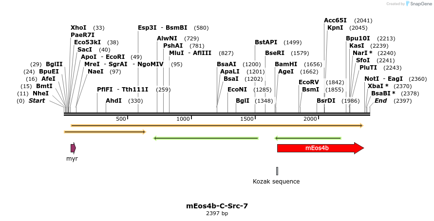 88648_map