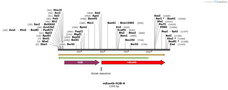 88649_map