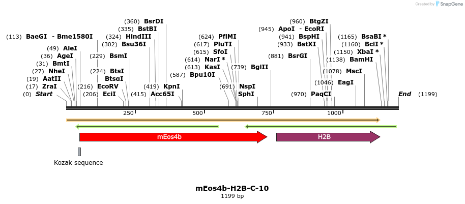 88650_map