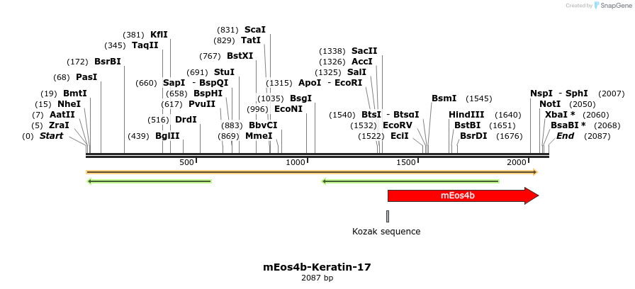 88651_map